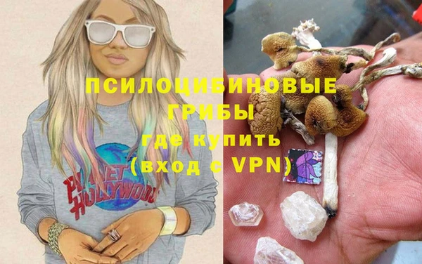 дурь Аркадак