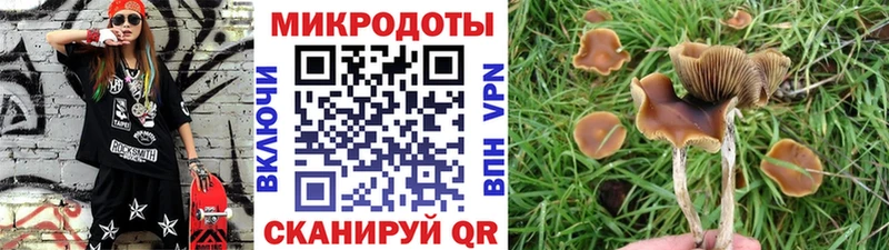 Псилоцибиновые грибы Cubensis mega ссылка Лениногорск магазин наркотиков